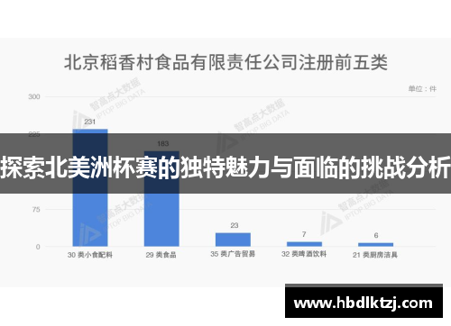 探索北美洲杯赛的独特魅力与面临的挑战分析