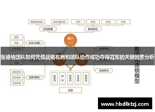 张德培团队如何凭借战略布局和团队协作成功夺得冠军的关键因素分析