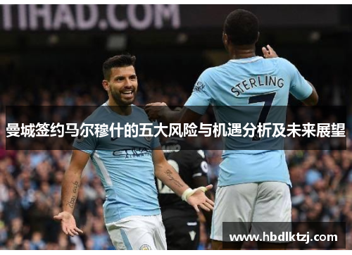 曼城签约马尔穆什的五大风险与机遇分析及未来展望